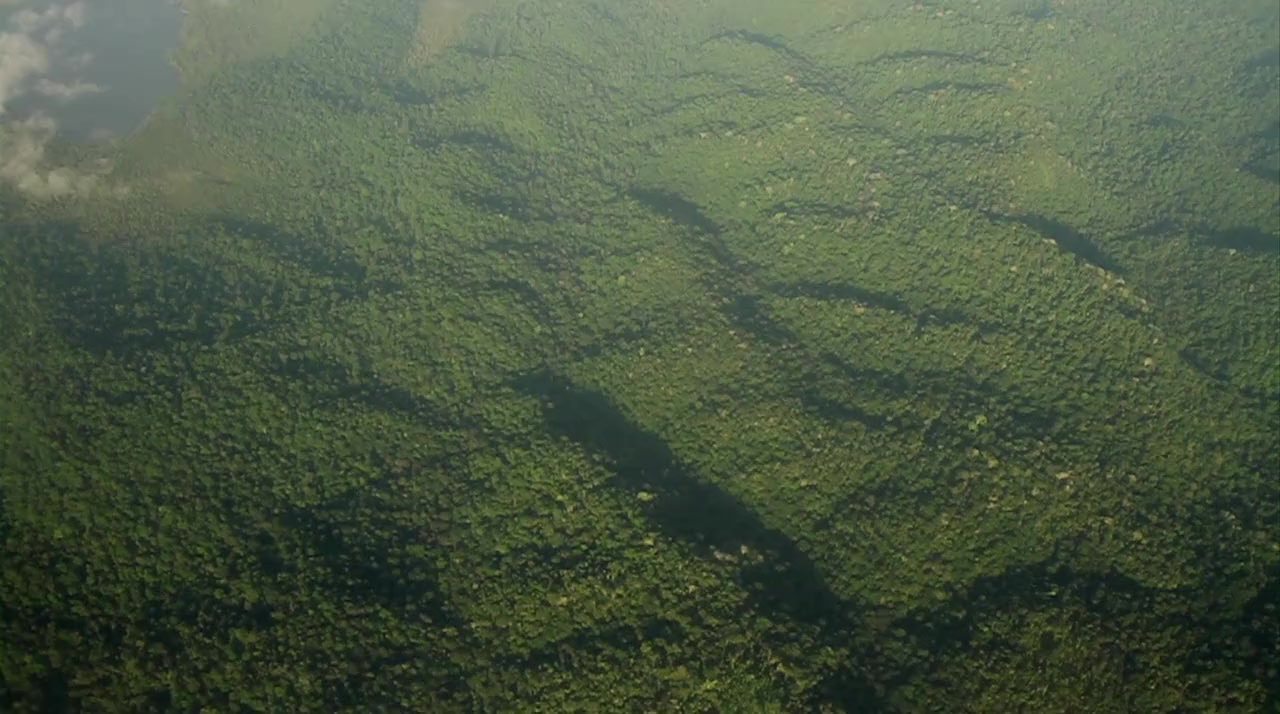 Isolated screenshot 3