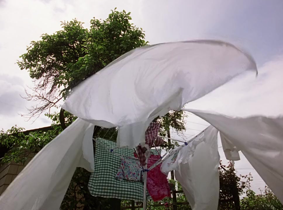 IT screenshot 3