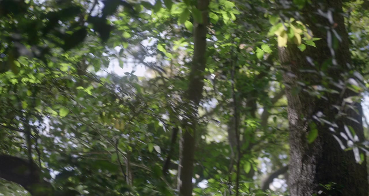 Kuru screenshot 2