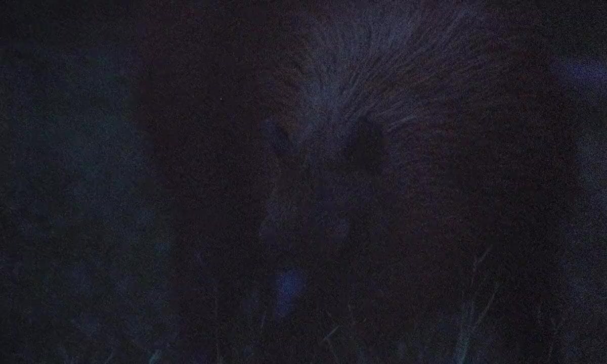 É Noite na América screenshot 1