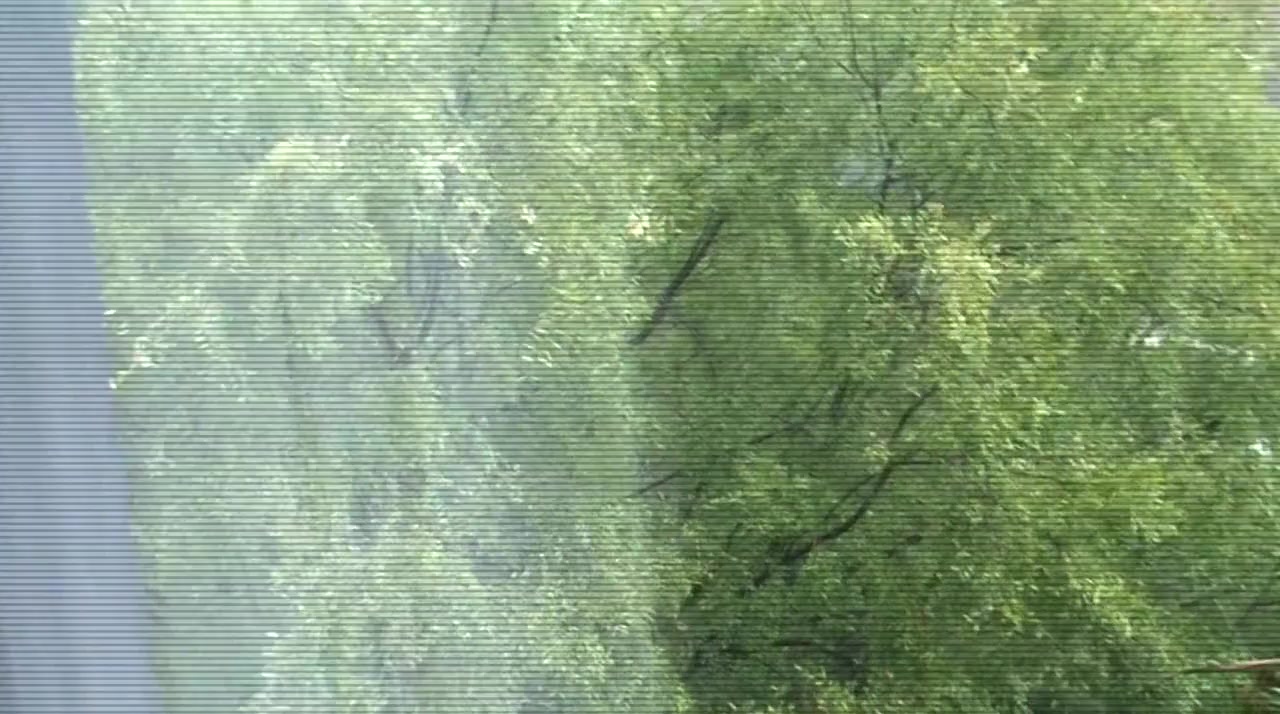 It Watches screenshot 1