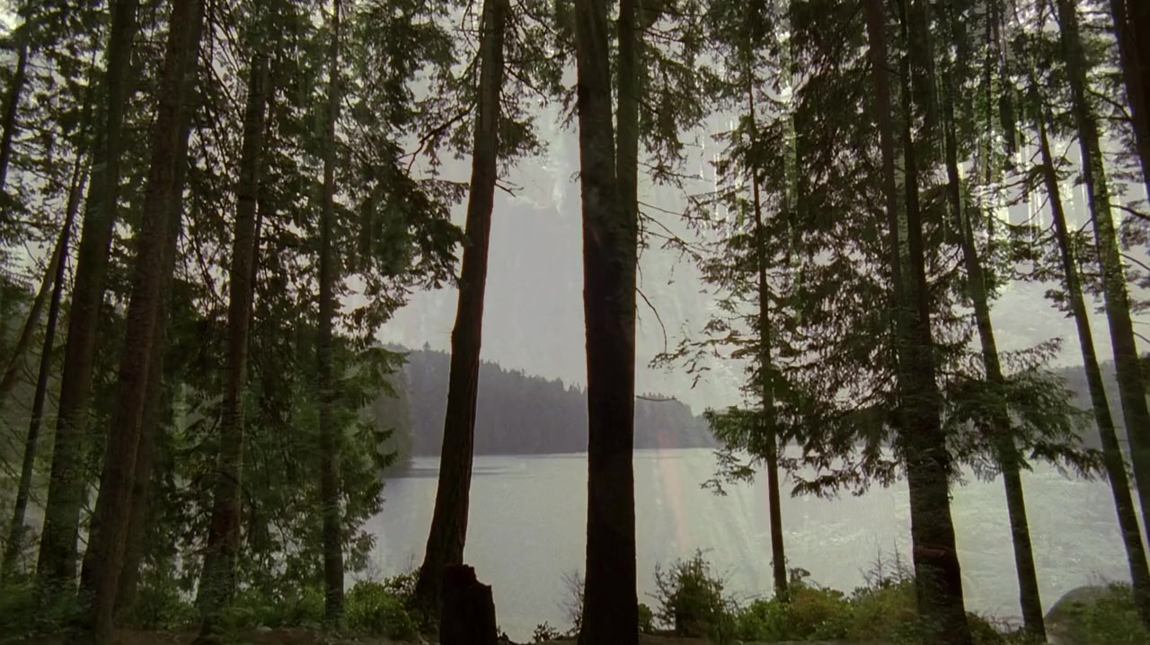 It Waits screenshot 2
