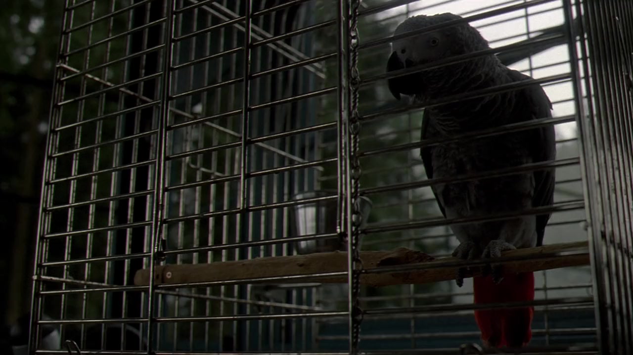 It Waits screenshot 3