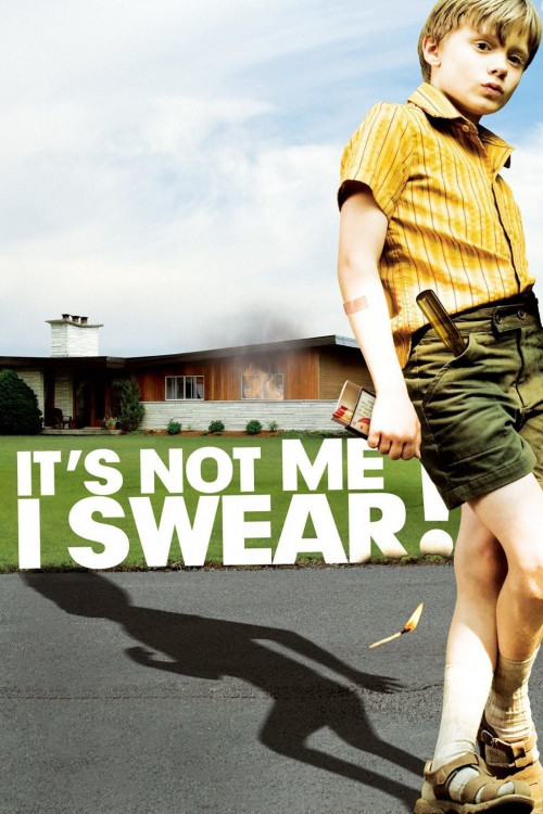 C'est pas moi, je le jure! (2008) poster