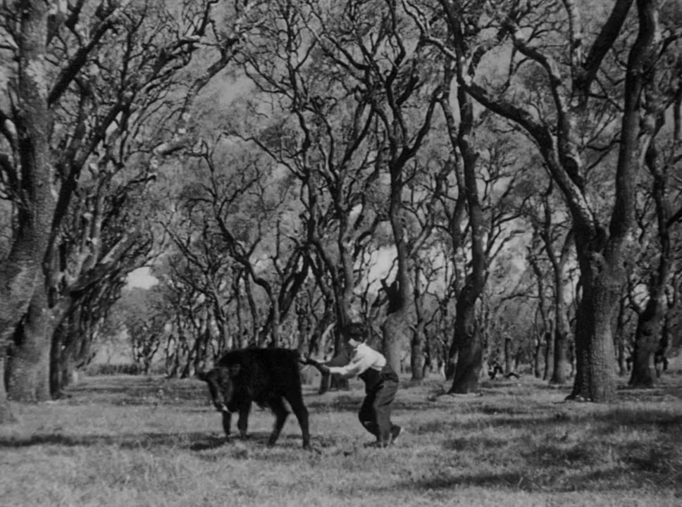 It's All True: Based on an Unfinished Film by Orson Welles screenshot 1