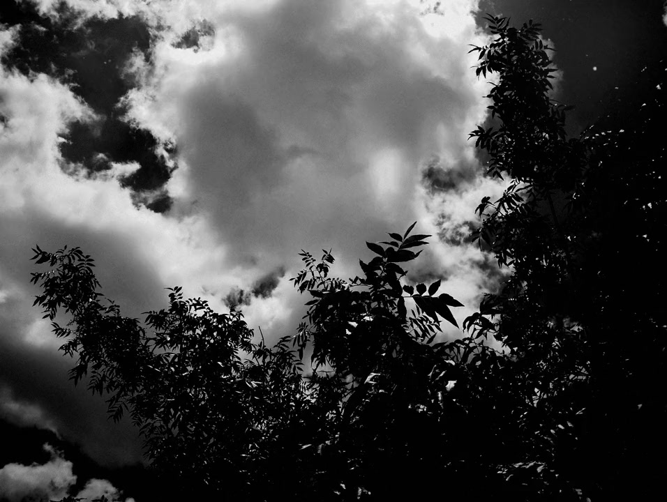 It's Such a Beautiful Day screenshot 1