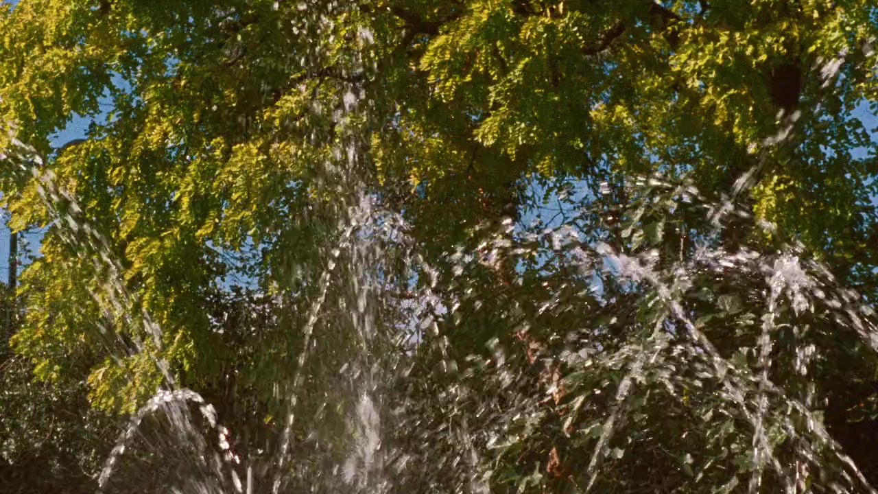 I've Been Trying to Tell You screenshot 1