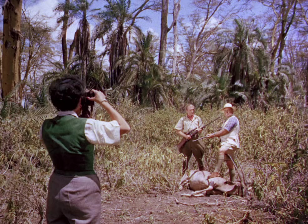 Where No Vultures Fly screenshot 1
