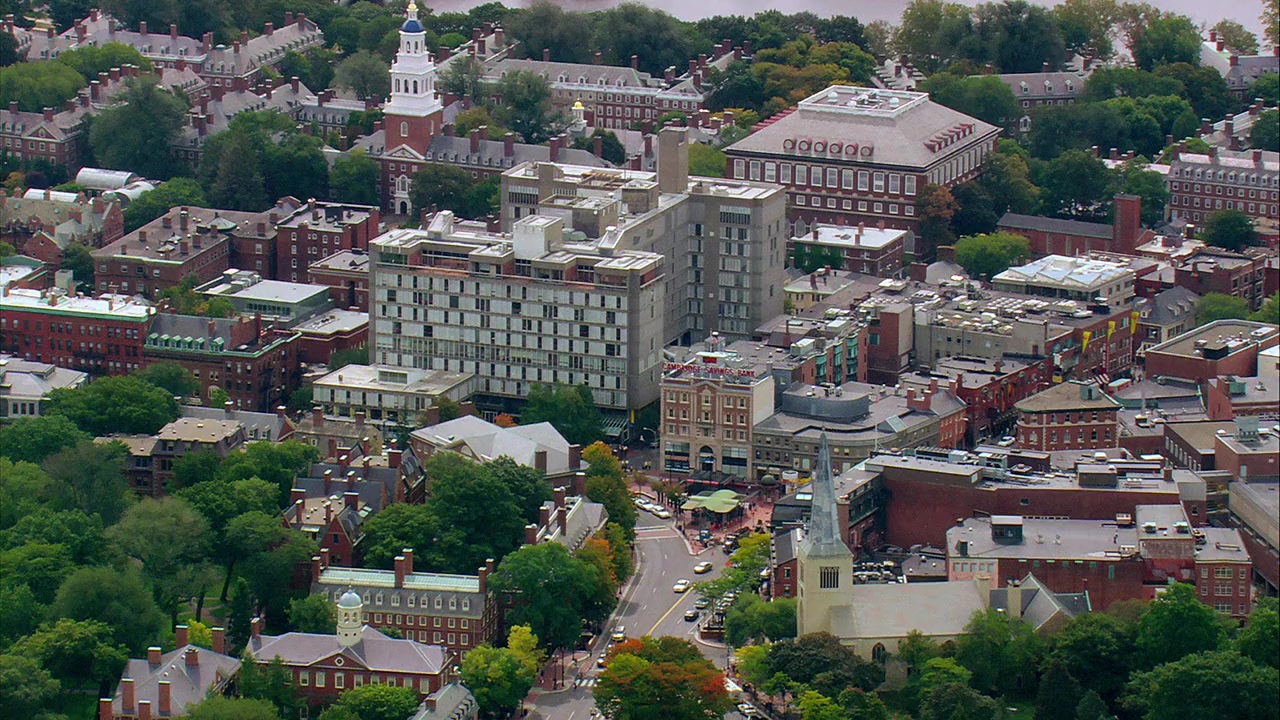 Ivory Tower screenshot 1