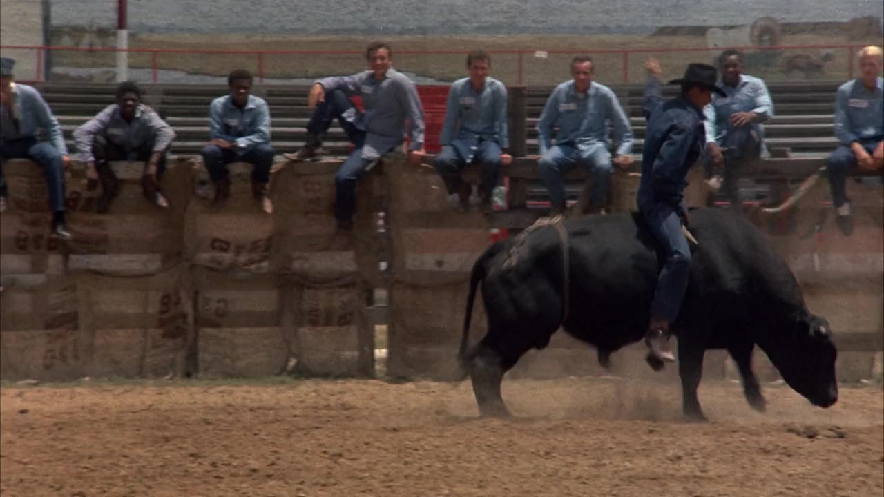 J W Coop screenshot 3