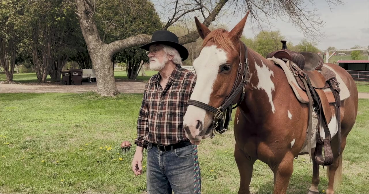 Joy of Horses screenshot 1