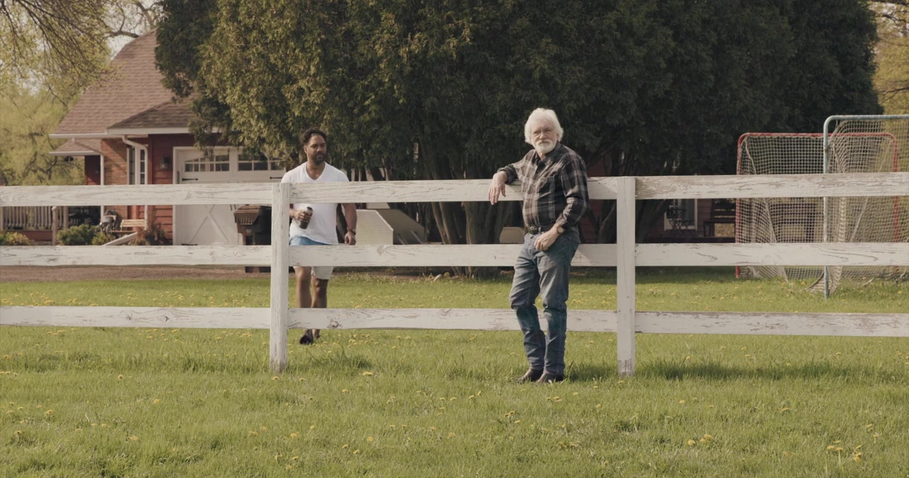 Joy of Horses screenshot 3