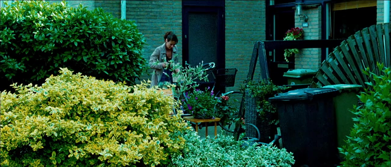 Joy screenshot 1