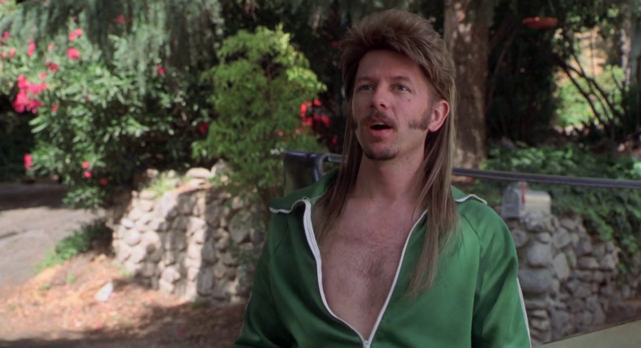 Joe Dirt screenshot 1