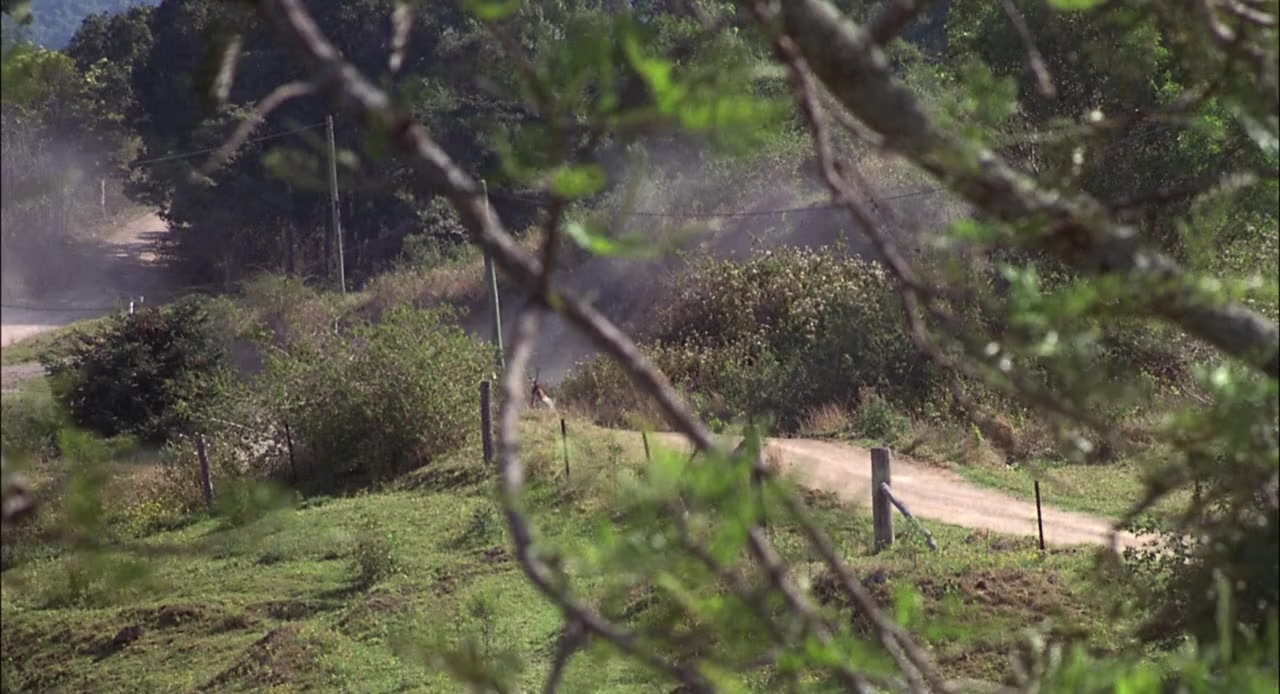 Joey screenshot 1