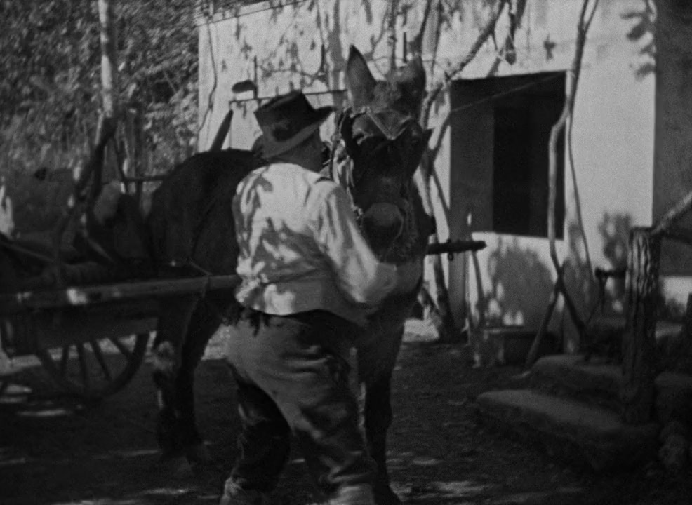 Jofroi screenshot 3