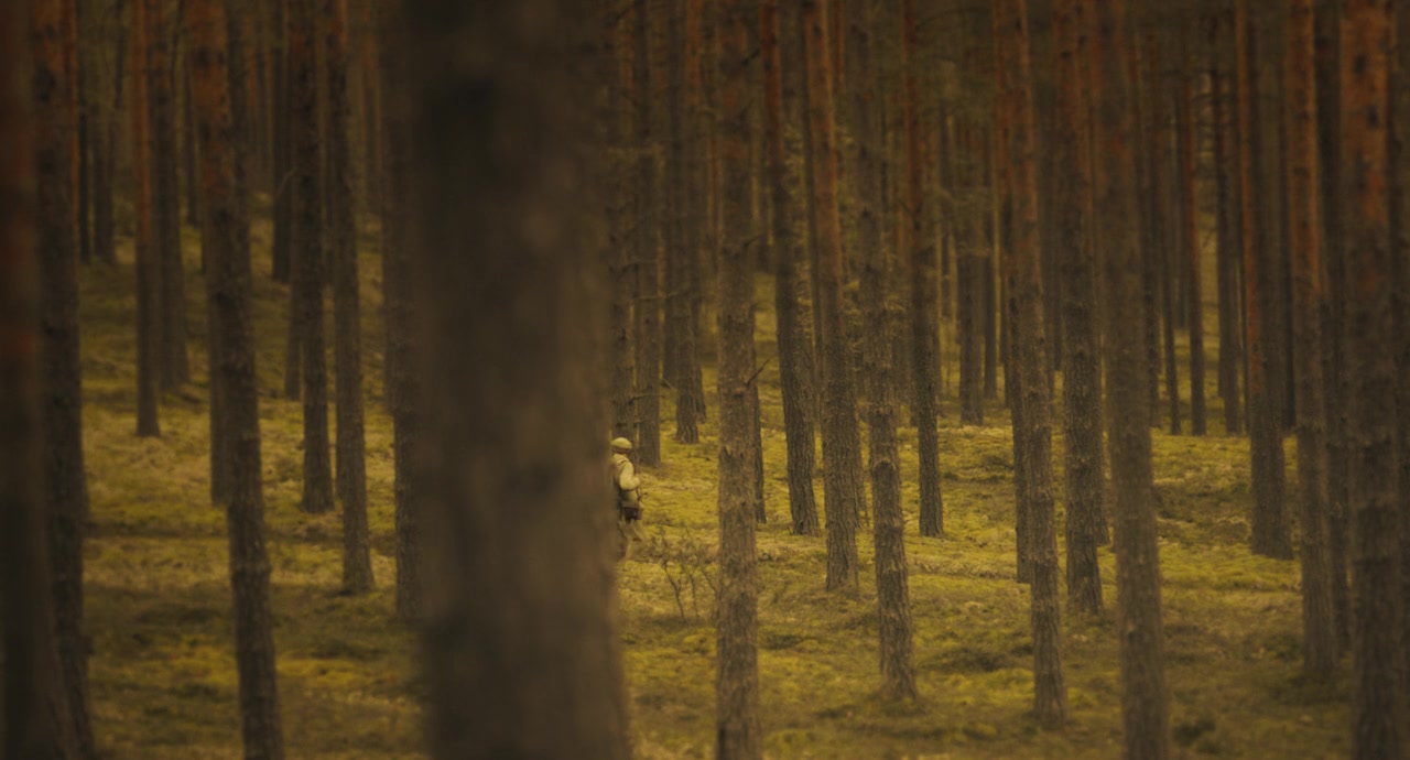 Johannes Pääsukese tõeline elu screenshot 2