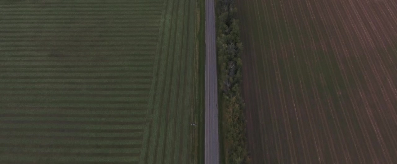 John, 316 screenshot 3