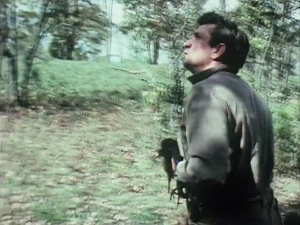 Johnny Cash! The Man, His World, His Music screenshot 1