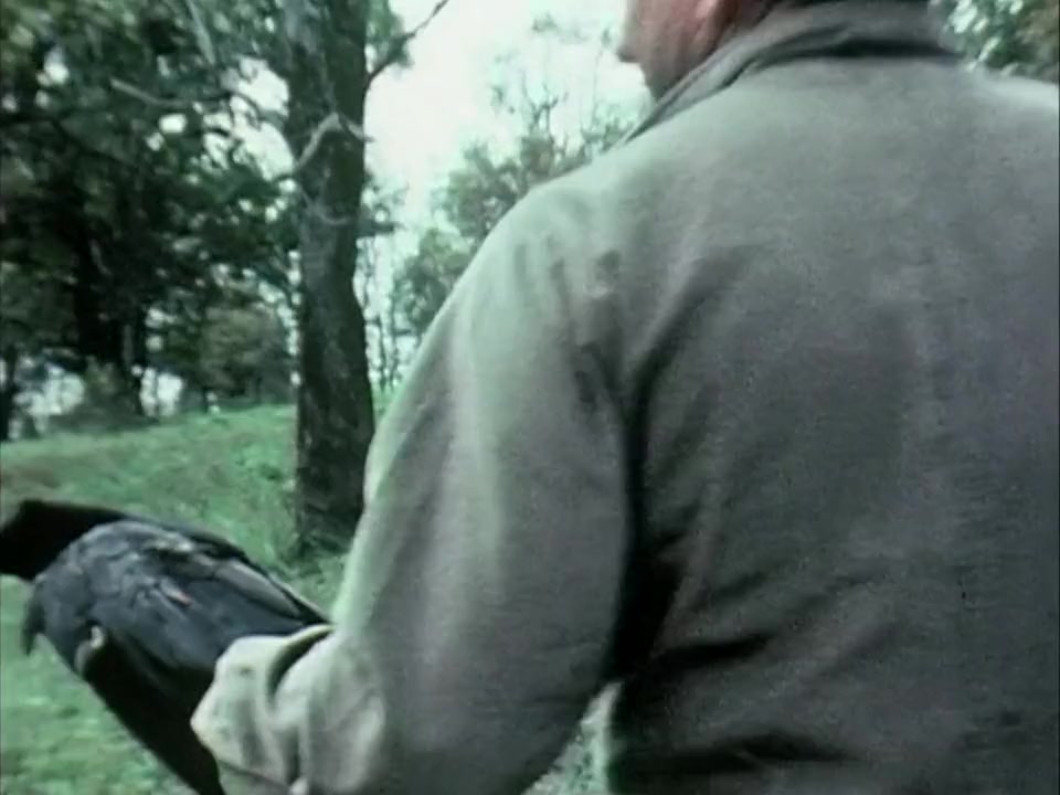 Johnny Cash! The Man, His World, His Music screenshot 3