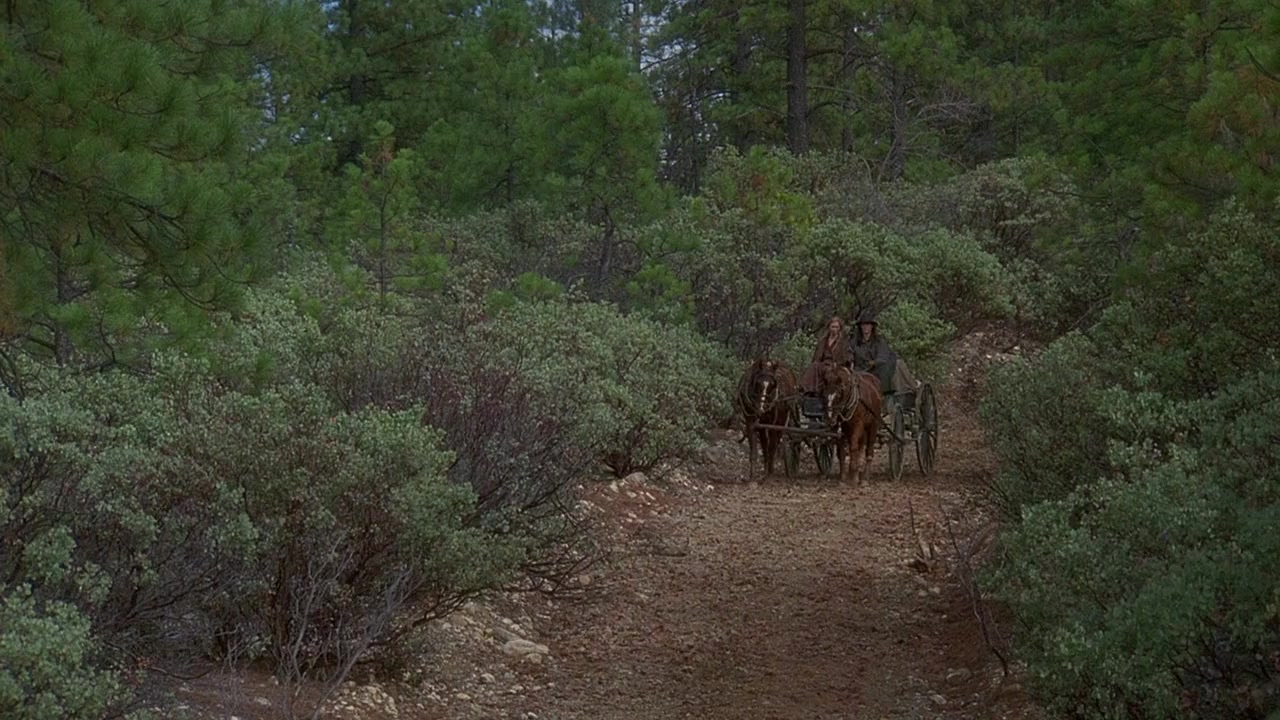 Johnson County War screenshot 1