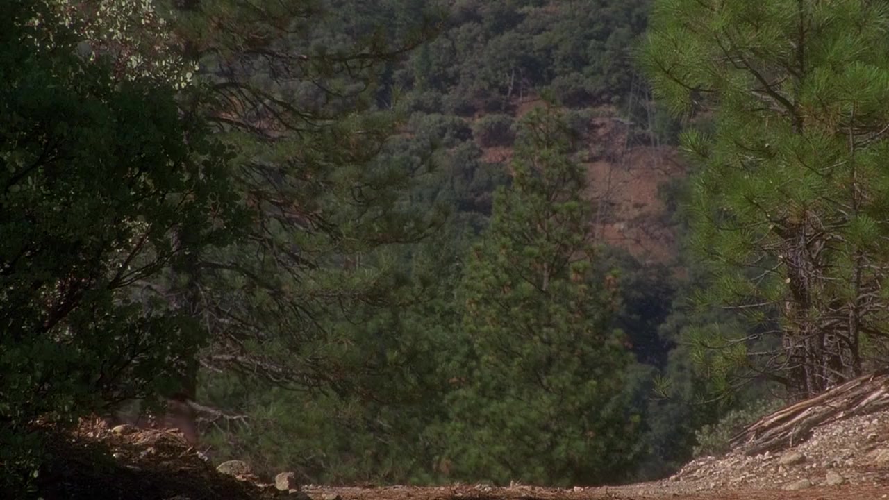 Johnson County War screenshot 2
