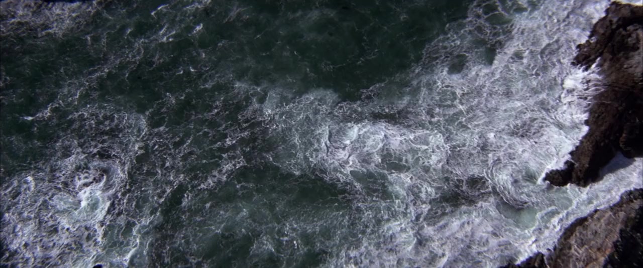 Jonathan Livingston Seagull screenshot 1