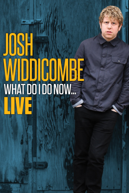 Josh Widdicombe: What Do I Do Now (2016) poster