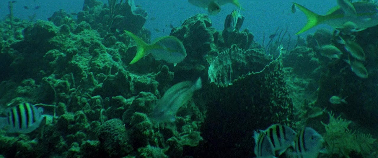 Jaws 3-D screenshot 3