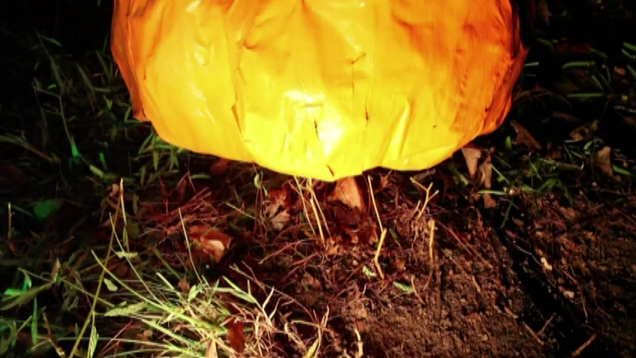 Jack vs Lanterns screenshot 3
