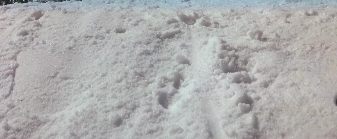 Jack Frost screenshot 3