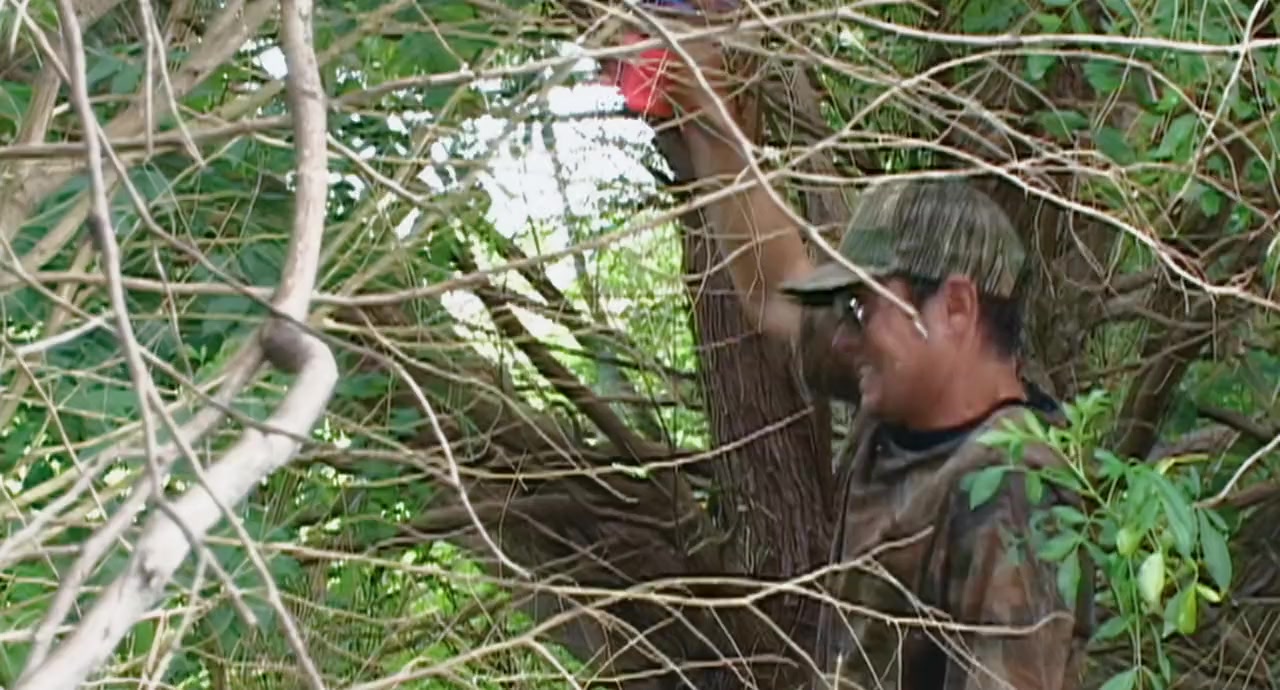 Jackass: Best and Last screenshot 1