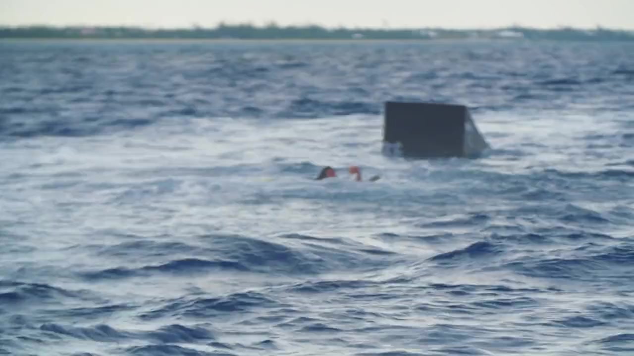 Jackass Shark Week 2.0 screenshot 2