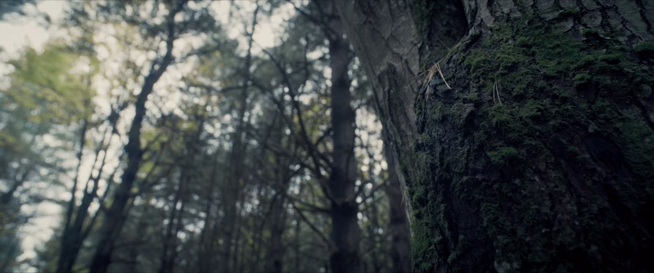 Jacked screenshot 3