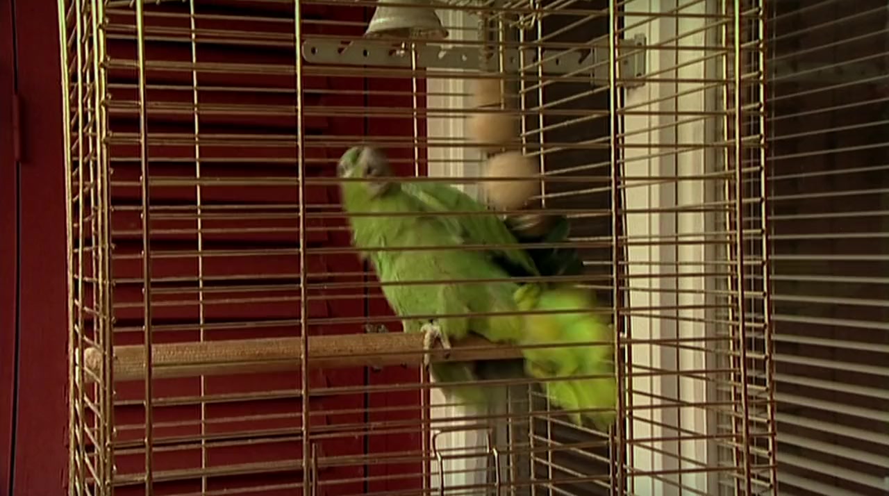 Jalla! Jalla! screenshot 2