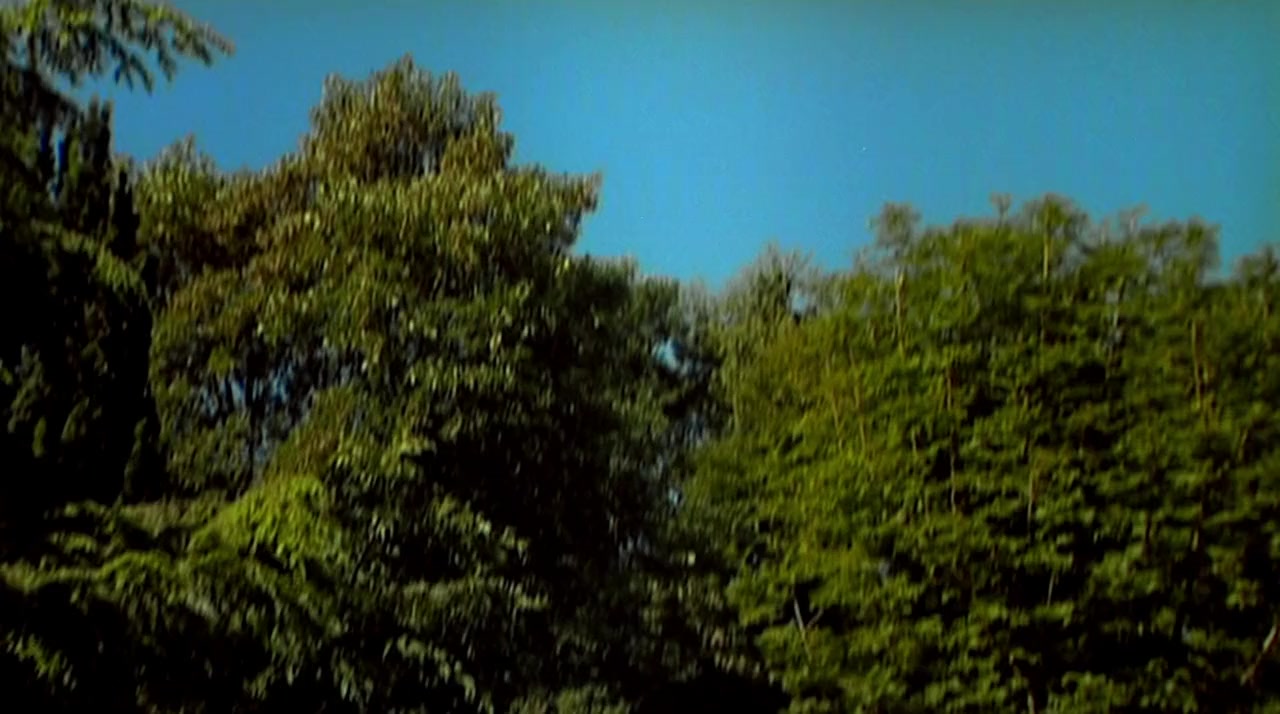 Jalla! Jalla! screenshot 3