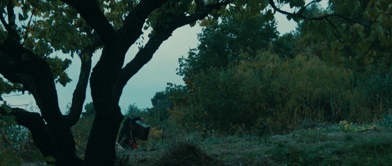 Jean de Florette screenshot 3