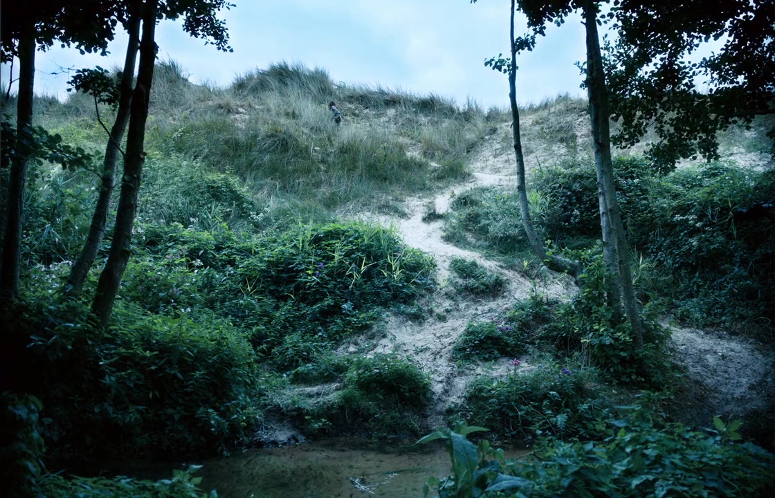 Jeannette, l'enfance de Jeanne d'Arc screenshot 1