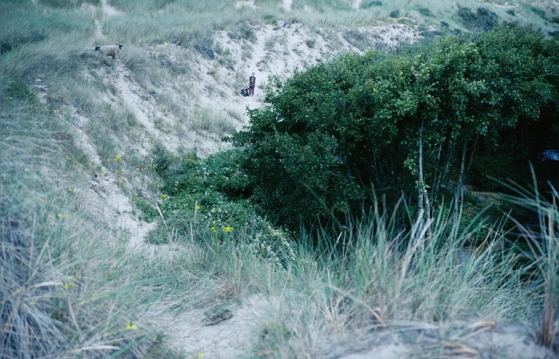 Jeannette, l'enfance de Jeanne d'Arc screenshot 2