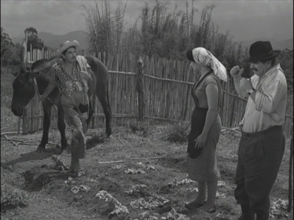 Jeca Tatu screenshot 3