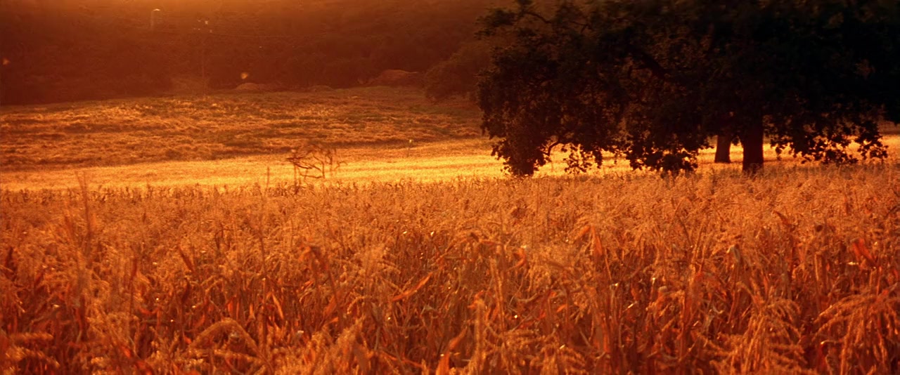 Jeepers Creepers 2 screenshot 2