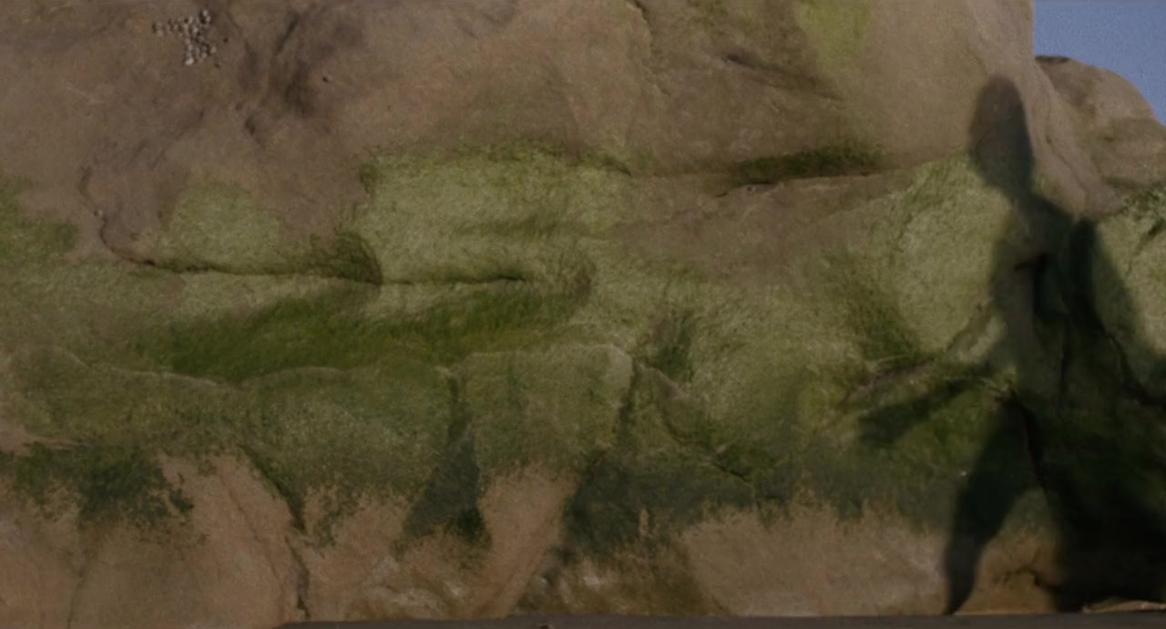 Jeremiah Tower: The Last Magnificent screenshot 3