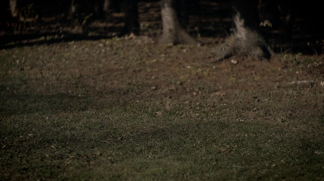 Jesse James: Lawman screenshot 3
