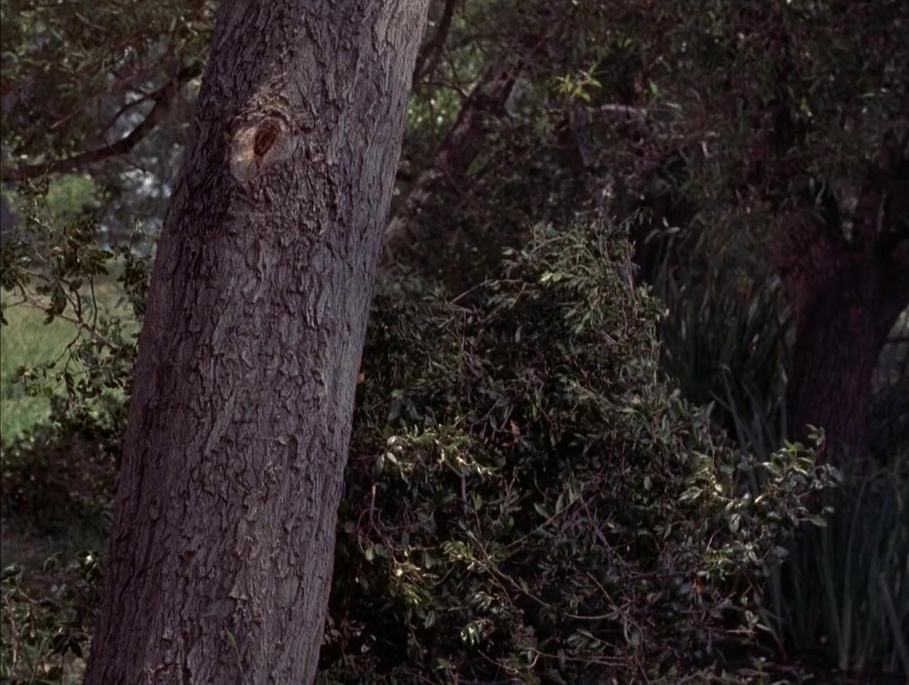 Jesse James vs. the Daltons screenshot 3