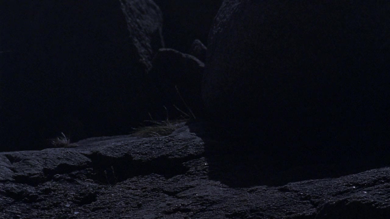 Stone Cold screenshot 3