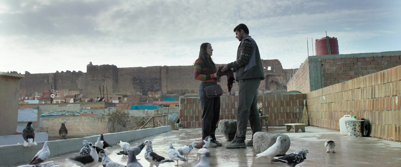 Ji bo azadiyê screenshot 3