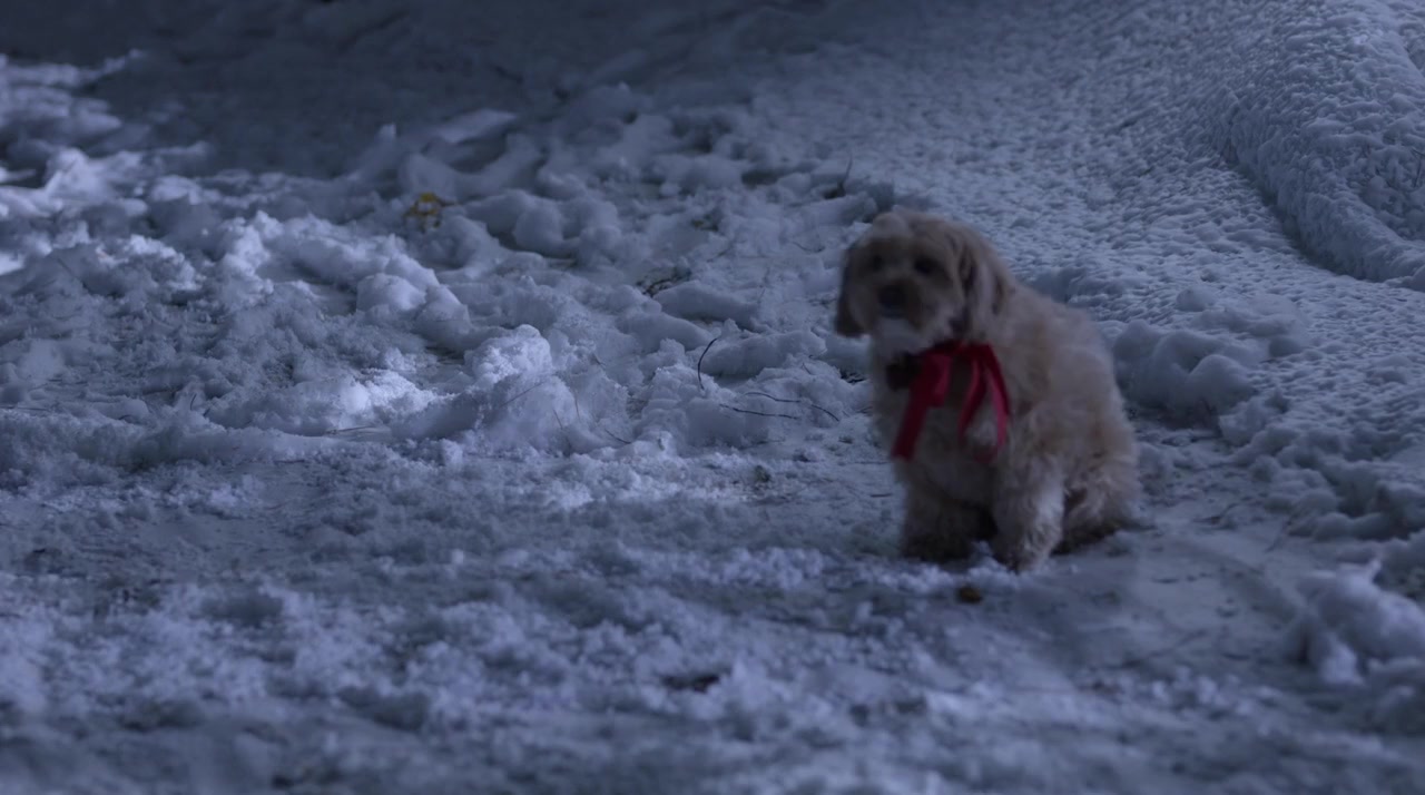 Jingle Bell Princess screenshot 2