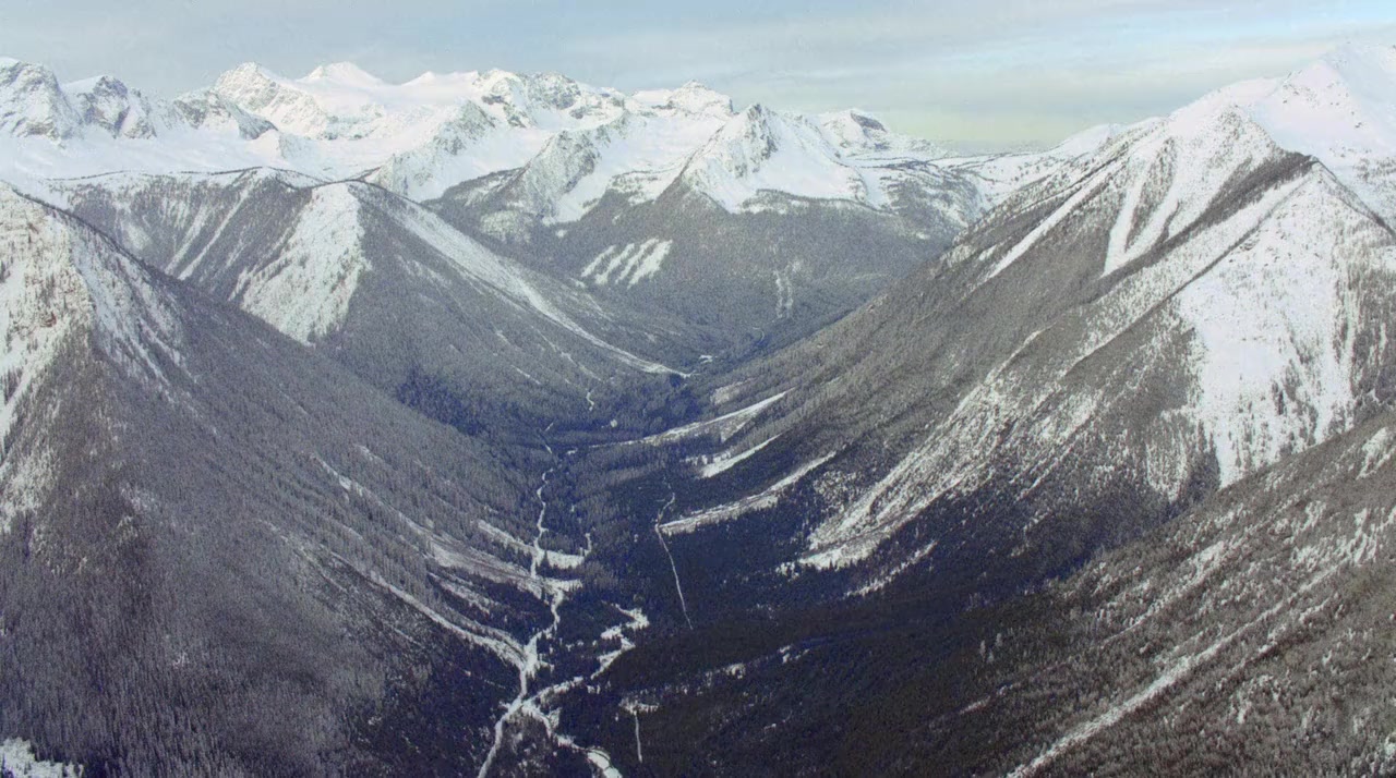 Jumbo Wild screenshot 3