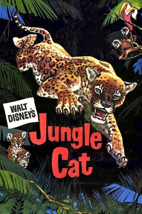 Jungle Cat (1960) poster