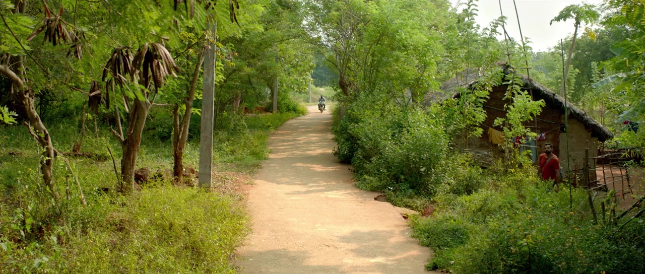 Jungle Cry screenshot 1